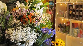 Gift/Flower Shop